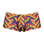 Herren Slip, sexy Herrenunterwäsche mit Pride Print und Pouch – Male Power – Bild 6