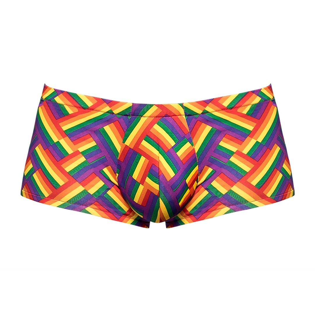 Herren Slip, sexy Herrenunterwäsche mit Pride Print und Pouch – Male Power – Bild 12
