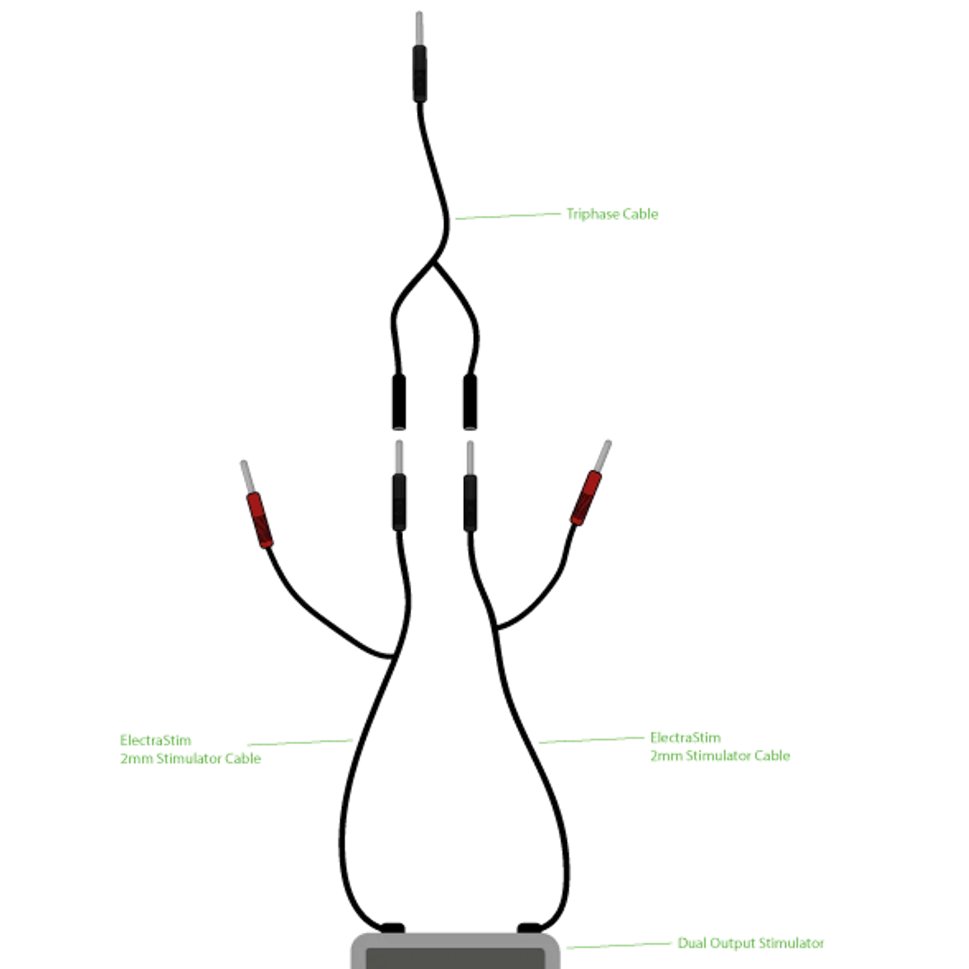 ElectraStim dreiphasiges Kombikabel – Bild 2