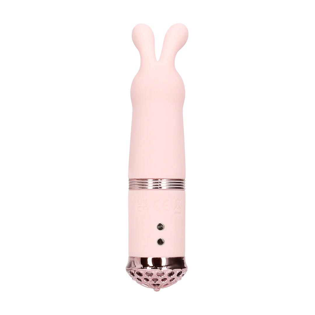 Duo Vibrator mit 10 Funktionen – Tester Loveline by Shots – Bild 3