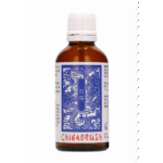 Pharmquests by Shots China Brush XL Verzögerungsserum 50 ml – Bild 4