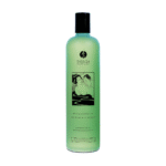 Shunga Sensual Mint Bade und Duschgel 370 ml