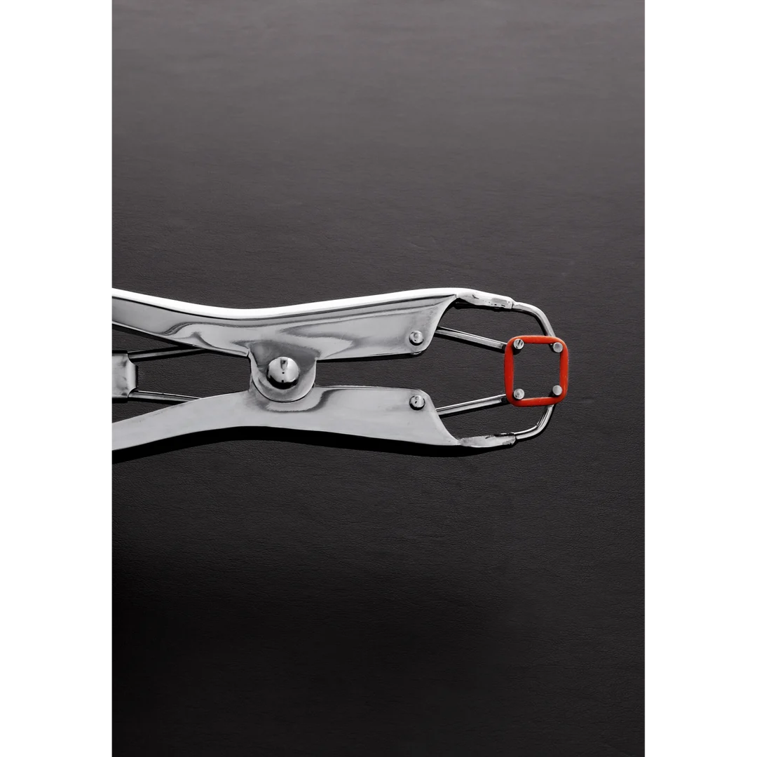 BDSM Klemme mit festem Halt – Tit Torture Pliers – Bild 2